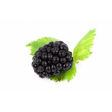 BIO Výběrový džem (ostružina)