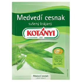 Medvědí česnek...
