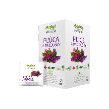 Plíce a průdušky (20x)
