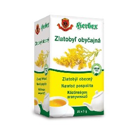 Zlatobýl obecný (20x)